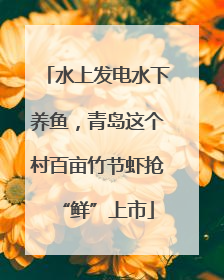 水上发电水下养鱼，青岛这个村百亩竹节虾抢“鲜”上市