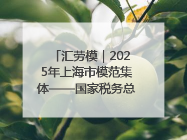 汇劳模｜2025年上海市模范集体——国家税务总局上海市徐汇区税务局第一税务所