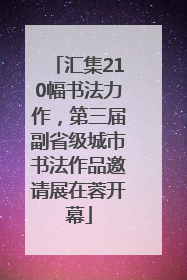 汇集210幅书法力作，第三届副省级城市书法作品邀请展在蓉开幕