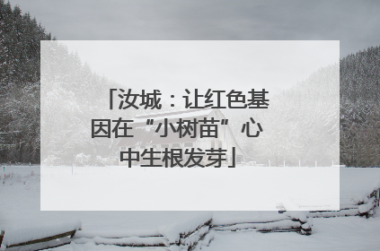 汝城：让红色基因在“小树苗”心中生根发芽