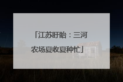 江苏盱眙：三河农场夏收夏种忙