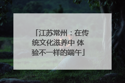 江苏常州：在传统文化滋养中 体验不一样的端午