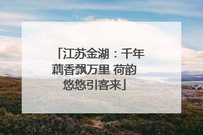 江苏金湖：千年藕香飘万里 荷韵悠悠引客来