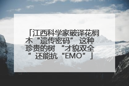 江西科学家破译花榈木“遗传密码” 这种珍贵的树 “才貌双全”还能抗“EMO”