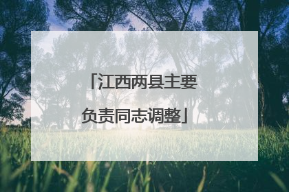 江西两县主要负责同志调整