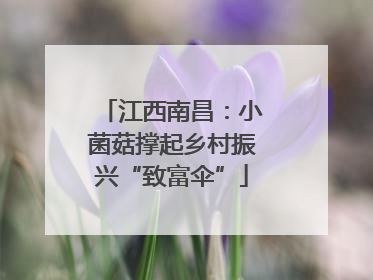 江西南昌：小菌菇撑起乡村振兴“致富伞”