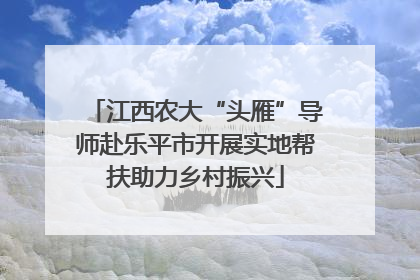 江西农大“头雁”导师赴乐平市开展实地帮扶助力乡村振兴