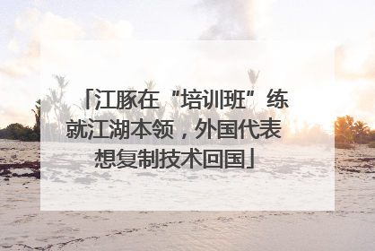 江豚在“培训班”练就江湖本领，外国代表想复制技术回国