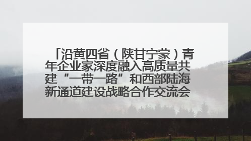 沿黄四省（陕甘宁蒙）青年企业家深度融入高质量共建“一带一路”和西部陆海新通道建设战略合作交流会在甘肃兰州召开