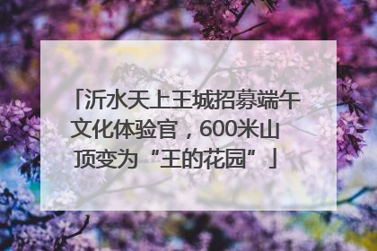 沂水天上王城招募端午文化体验官，600米山顶变为“王的花园”