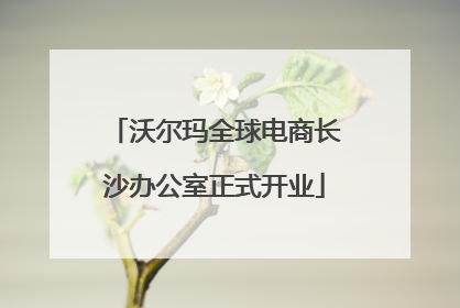 沃尔玛全球电商长沙办公室正式开业