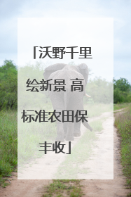 沃野千里绘新景 高标准农田保丰收