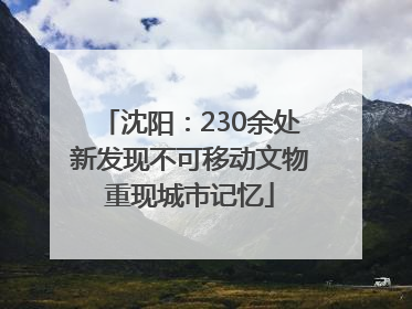 沈阳：230余处新发现不可移动文物重现城市记忆