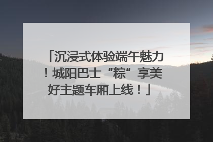 沉浸式体验端午魅力！城阳巴士“粽”享美好主题车厢上线！