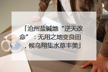 沧州盐碱地“逆天改命”：无用之地变良田，候鸟翔集水草丰美