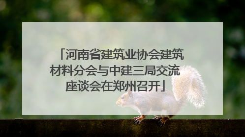 河南省建筑业协会建筑材料分会与中建三局交流座谈会在郑州召开