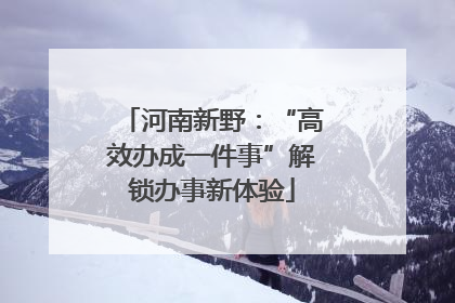 河南新野：“高效办成一件事”解锁办事新体验