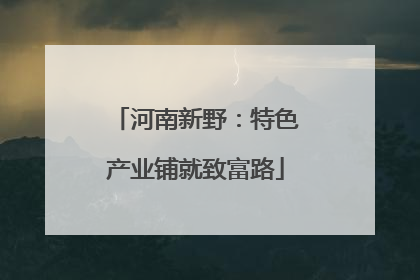 河南新野：特色产业铺就致富路
