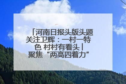 河南日报头版头题关注卫辉：一村一特色 村村有看头 ︳聚焦“两高四着力”·一“县”观察