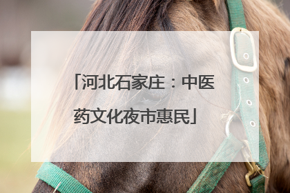 河北石家庄:中医药文化夜市惠民