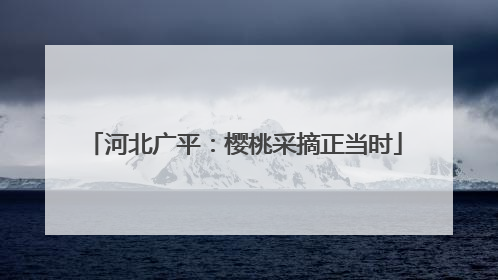 河北广平：樱桃采摘正当时