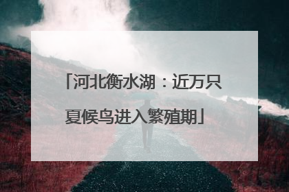 河北衡水湖：近万只夏候鸟进入繁殖期