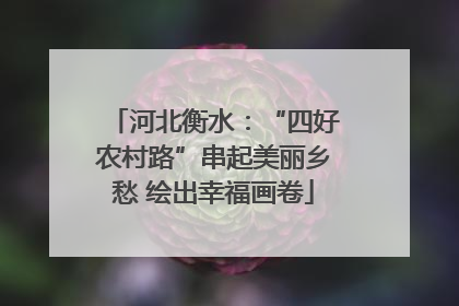 河北衡水：“四好农村路”串起美丽乡愁 绘出幸福画卷
