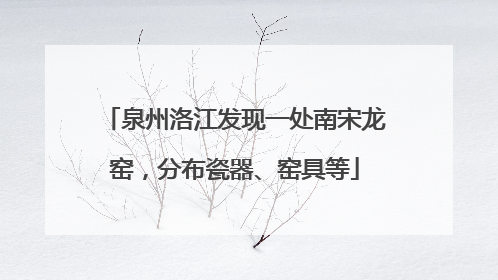 泉州洛江发现一处南宋龙窑，分布瓷器、窑具等