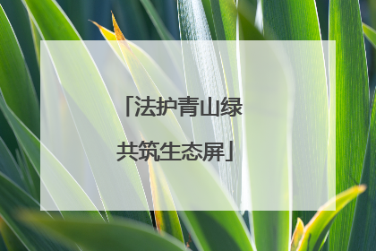 法护青山绿 共筑生态屏