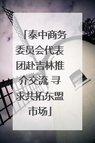 泰中商务委员会代表团赴吉林推介交流 寻求共拓东盟市场