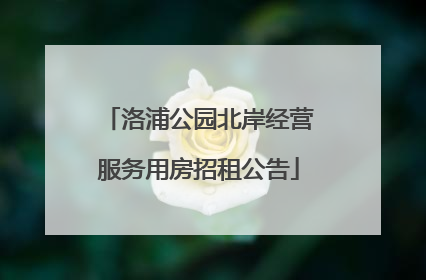 洛浦公园北岸经营服务用房招租公告