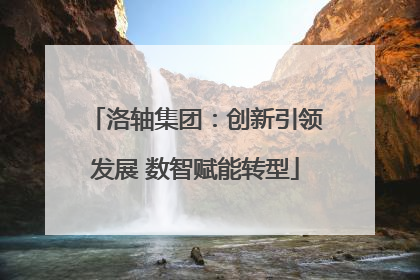 洛轴集团：创新引领发展 数智赋能转型