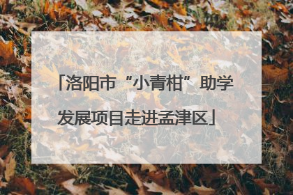 洛阳市“小青柑”助学发展项目走进孟津区