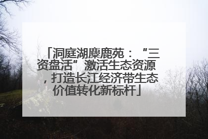 洞庭湖麋鹿苑：“三资盘活”激活生态资源，打造长江经济带生态价值转化新标杆
