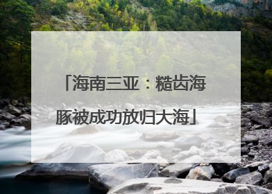 海南三亚：糙齿海豚被成功放归大海