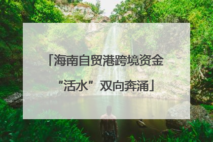 海南自贸港跨境资金“活水”双向奔涌