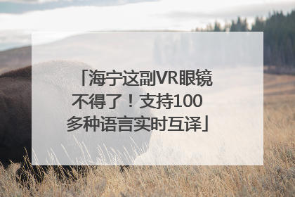 海宁这副VR眼镜不得了！支持100多种语言实时互译