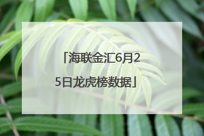 海联金汇6月25日龙虎榜数据