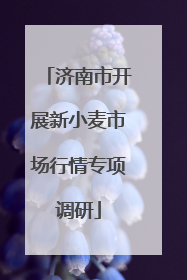 济南市开展新小麦市场行情专项调研