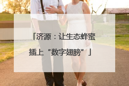 济源：让生态蜂蜜插上“数字翅膀”