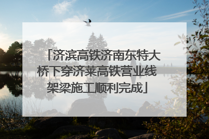 济滨高铁济南东特大桥下穿济莱高铁营业线架梁施工顺利完成
