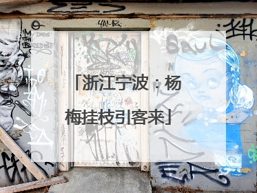 浙江宁波：杨梅挂枝引客来