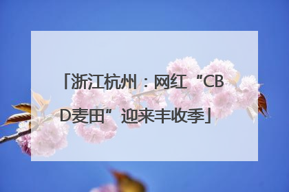 浙江杭州：网红“CBD麦田”迎来丰收季