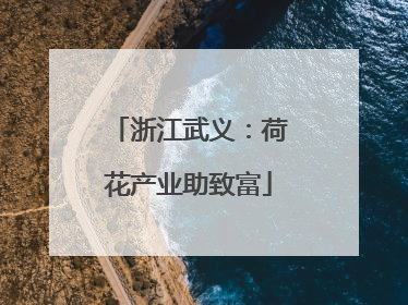 浙江武义：荷花产业助致富