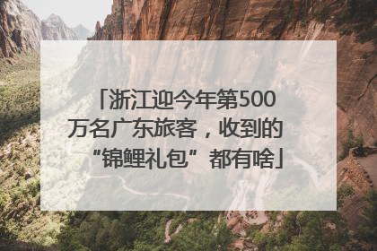 浙江迎今年第500万名广东旅客，收到的“锦鲤礼包”都有啥