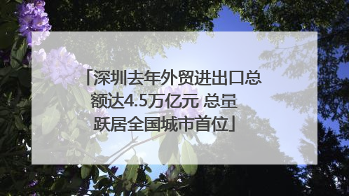 深圳去年外贸进出口总额达4.5万亿元 总量跃居全国城市首位