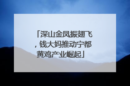 深山金凤振翅飞，钱大妈推动宁都黄鸡产业崛起