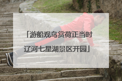 游船观鸟赏荷正当时 辽河七星湖景区开园