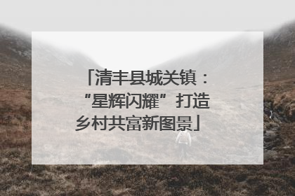 清丰县城关镇：“星辉闪耀”打造乡村共富新图景