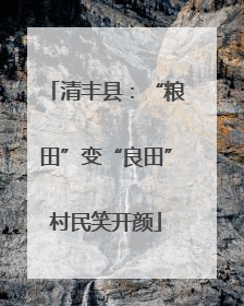 清丰县：“粮田”变“良田”村民笑开颜